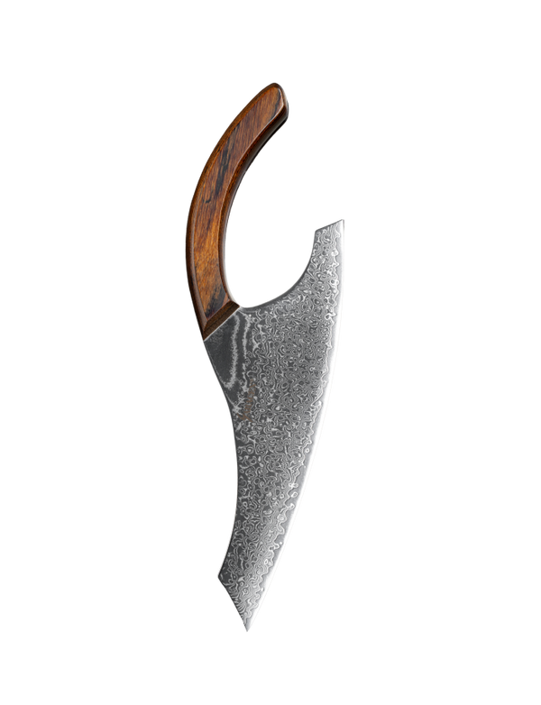 SARACEN Eclipse®